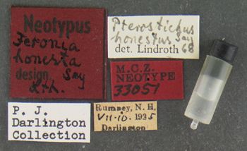 Media type: image;   Entomology 33051 Aspect: labels